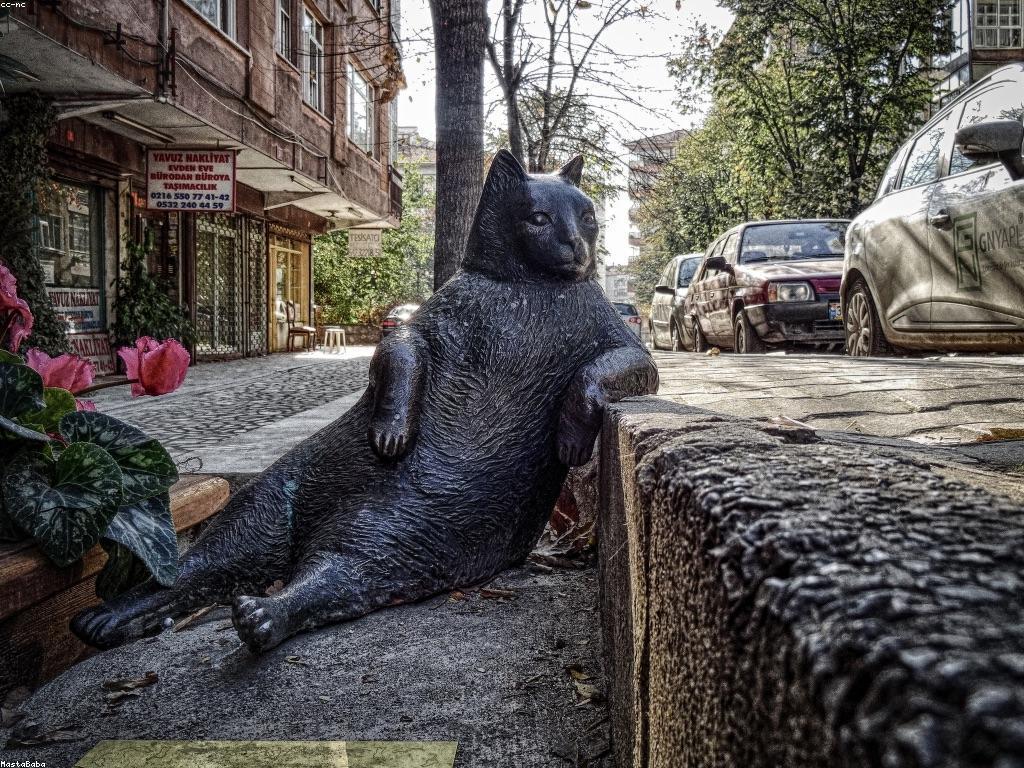 សារៈសំខាន់នៃការប្រកួតក្នុងកីឡា