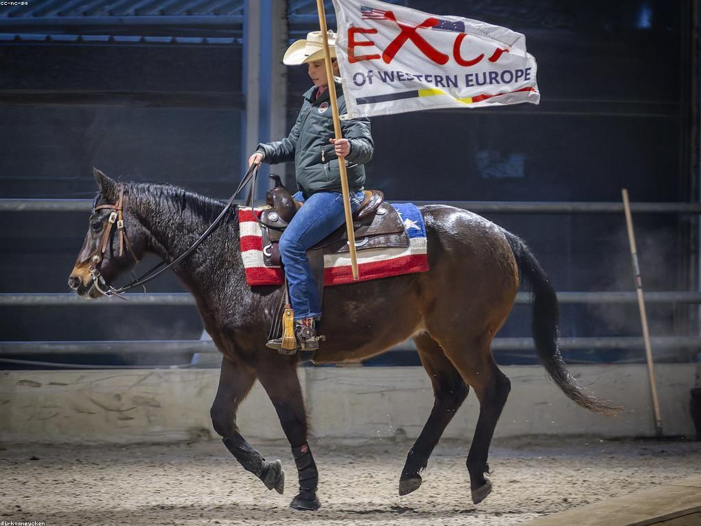នូវការប្រកួតនិងការប្រកួត