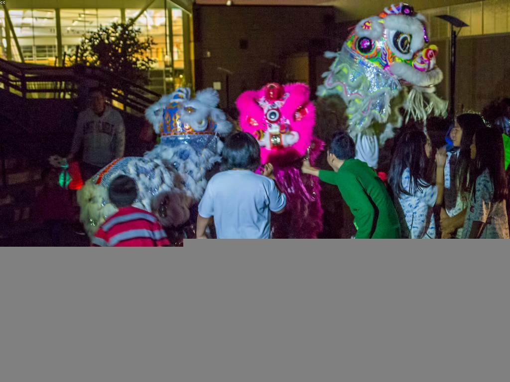 តួនាទីនៃការប្រកួតក្នុងសង្គម